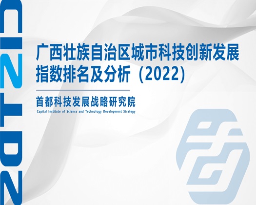 大鸡巴操小穴视频啊啊【成果发布】广西壮族自治区城市科技创新发展指数排名及分析（2022）